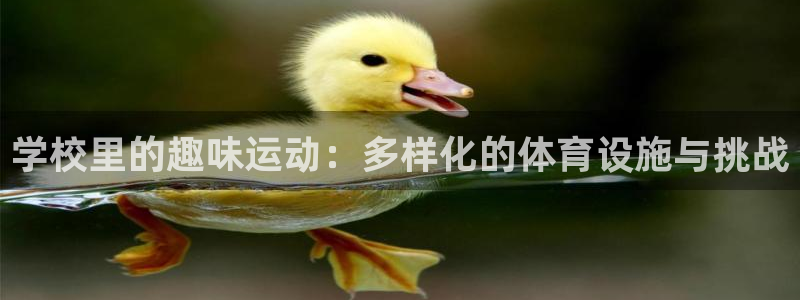zoty中欧体育官网下载娱乐：学校里的趣味运动：多样