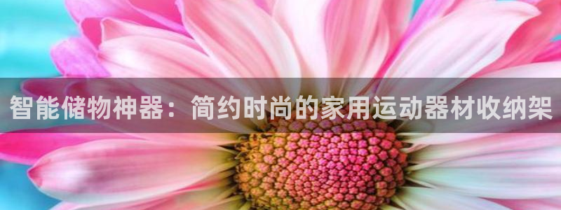 zoty中欧体育官网下载联系电话：智能储物神器：简约