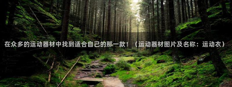 zoty中欧体育官网下载平台注册：在众多的运动器材中