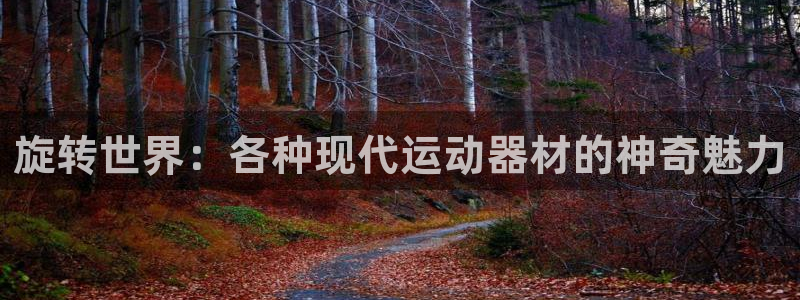 zoty中欧体育官网下载平台是正规平台吗：旋转世界：各种现代