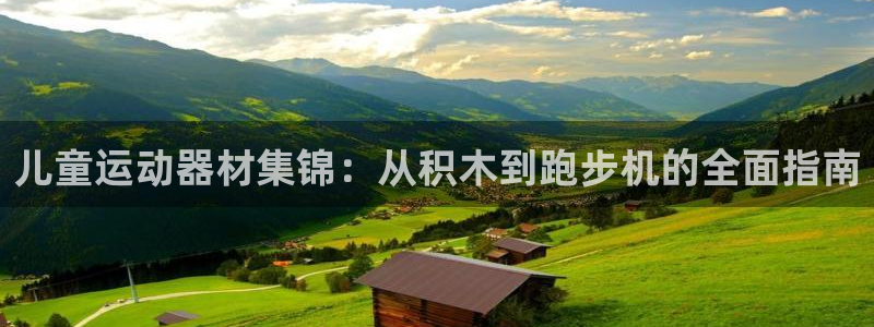 zoty中欧体育官方正版app集团简介：儿童运动器材集锦：从