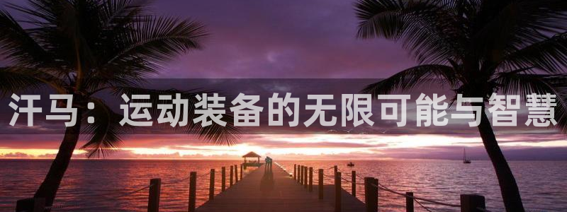 海南zoty中欧体育官网下载：汗马：运动装备的无限可