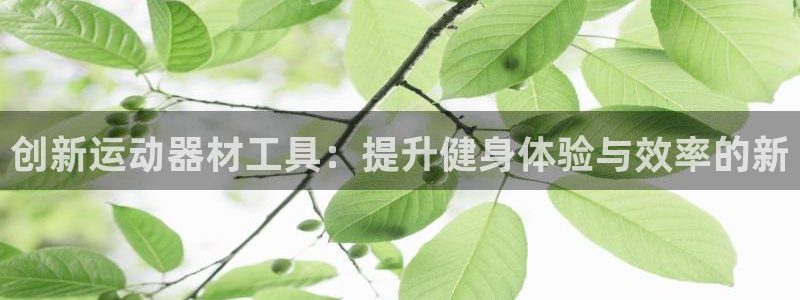 zoty中欧官方集团官网：创新运动器材工具：提升健身