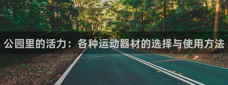 zoty中欧体育官方正版app娱乐：公园里的活力：各