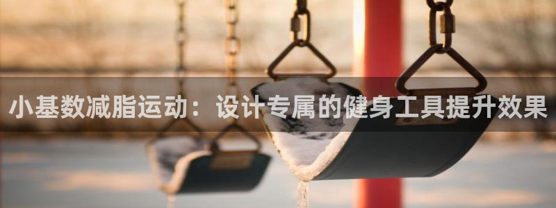 zoty中欧体育官方正版app五金厂:小基数减脂运动:设计专