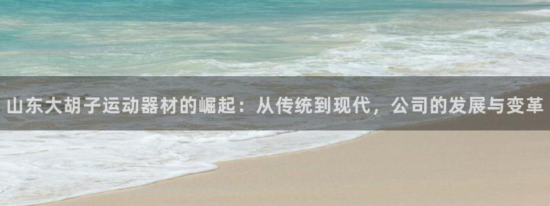 zoty中欧体育官方正版app科技：山东大胡子运动器