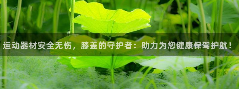 zoty中欧体育官方正版app娱乐平台:运动器材安全无伤,膝