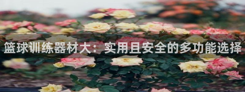 zoty中欧体育官网下载招商:篮球训练器材大:实用且安全的多